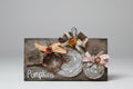 Hello Pumpkins!!!! shelve sitter wooden jute wire